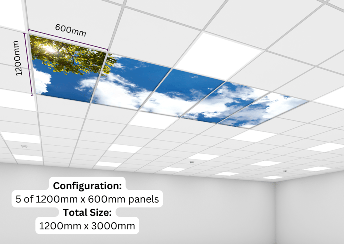 600mm x 1200mm