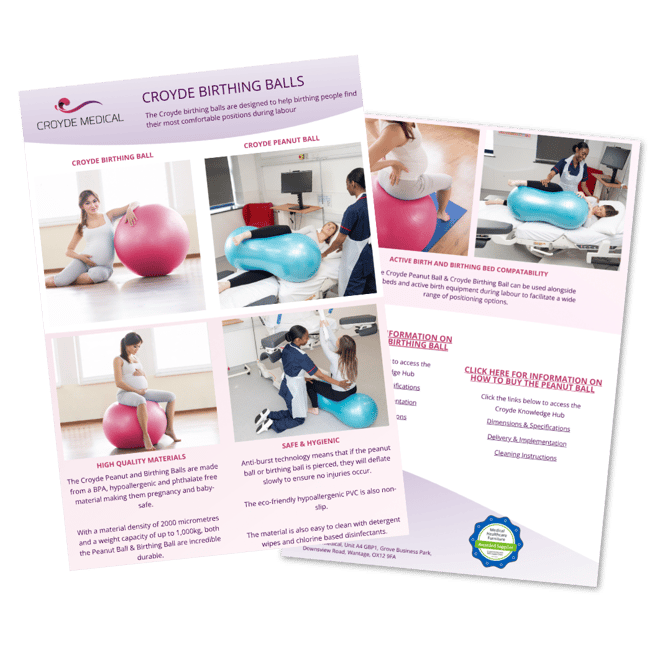 Birthing Balls Flyer Icon