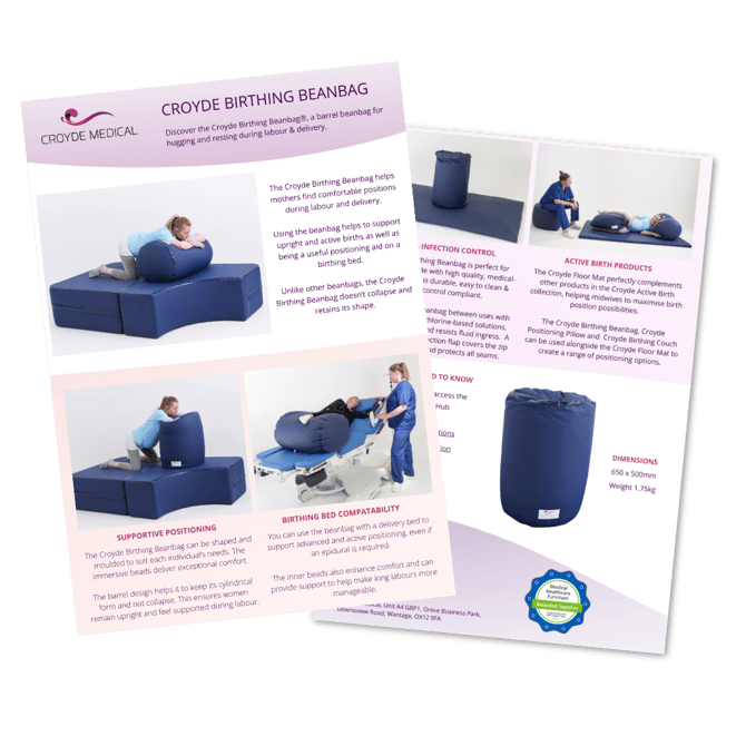 Birthing Beanbag Flyer Icon