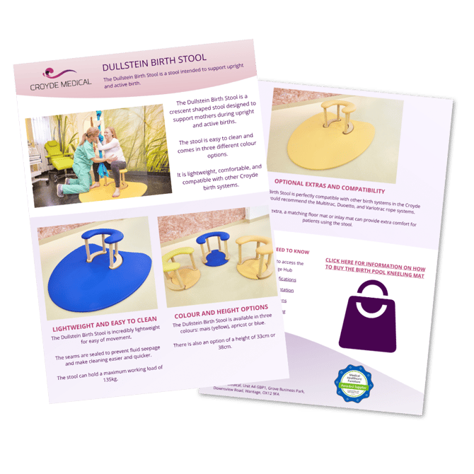 Dullstein Birth Stool Flyer Icon