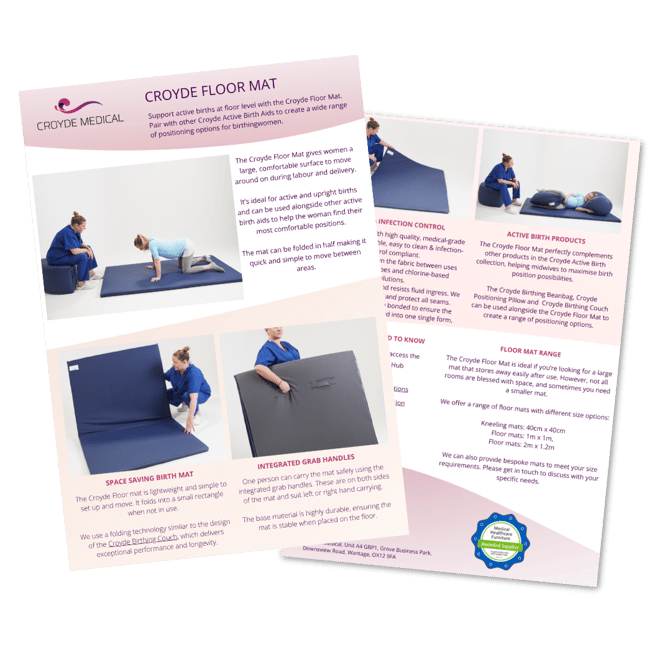 Floor Mat Flyer Icon