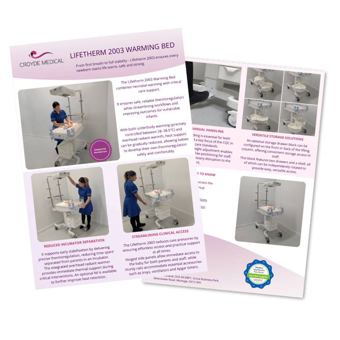 Lifetherm 2003 Flyer Icon