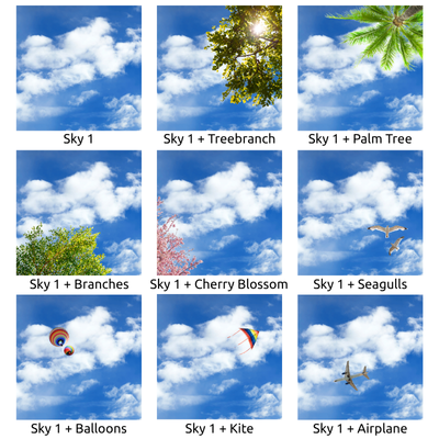 Sky 1