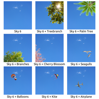 Sky 6